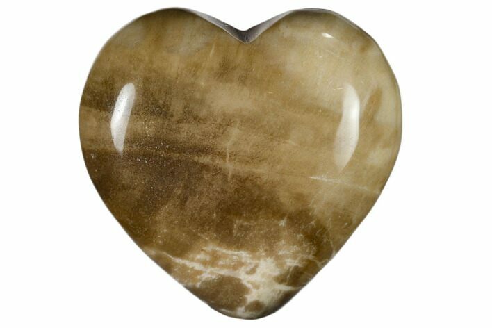 Polished, Triassic Petrified Wood Heart - Madagascar #115505